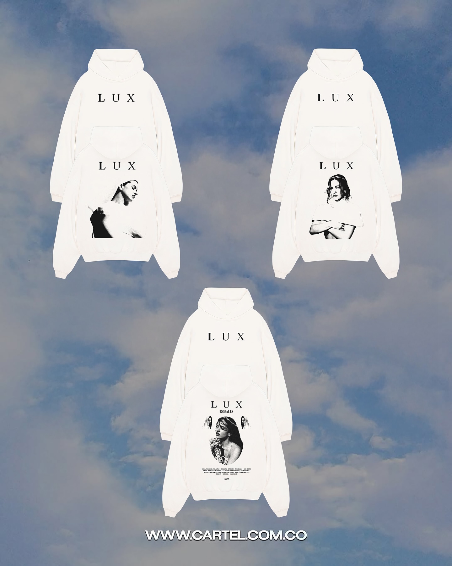 Sweat-shirt à capuche pour hom - Winter Clothing In Spanish avis et prix